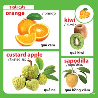 Bách Khoa Toàn Thư Cho Bé - Rau Củ Quả