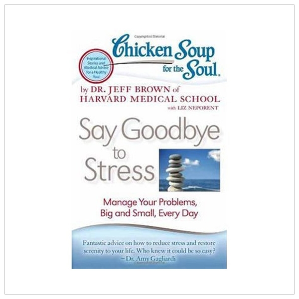 Sách - Chicken Soup for the Soul: Say Goodbye to Stress: Manage Your Problems, Big and Small, Every Day