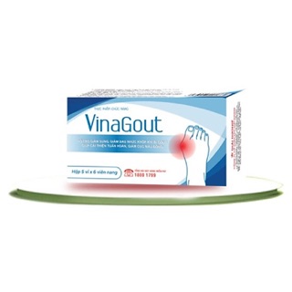 Viên uống Vina Gout