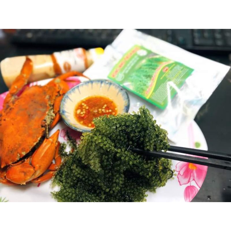 Rong nho tách nước đặc sản Khanh Hoa  50g + tặng kèm sốt | BigBuy360 - bigbuy360.vn