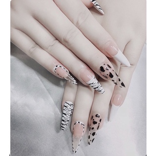 móng úp thiết kế - nails box