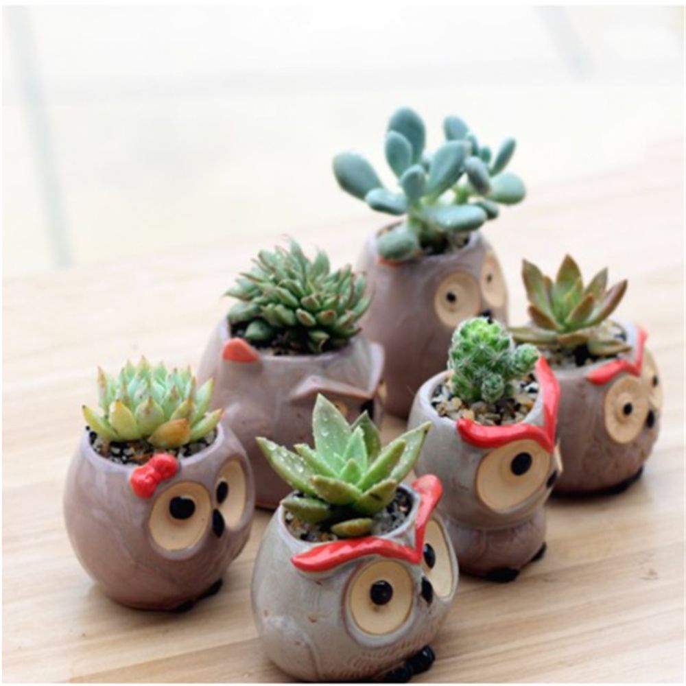 Chậu Cây Bằng Gốm Hình Chim Cú Dễ Thương Trang Trí Nhà Cửa