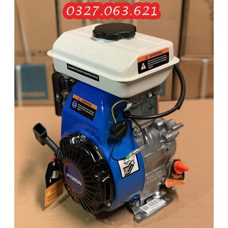 Động cơ xăng Hyundai HGE100 - 3HP