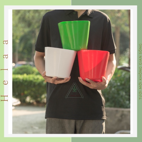 Chậu Nhựa Vuông Thấp Trồng Cây, Chậu Trồng Cây Mini Để Bàn Làm Việc, Hoa, Sen Đá, Xương Rồng - 18×18cm