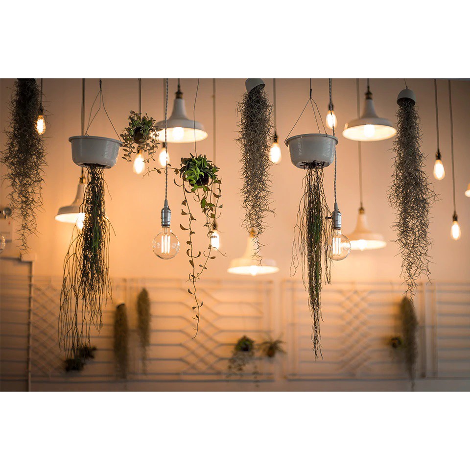 Bóng Đèn Led Vintage Edison G80 Nhiều Màu - Bóng Đèn Tròn Cổ Điển Nhiều Mẫu Trang Trí Đẹp Ánh Sáng Vàng Hoặc Trắng