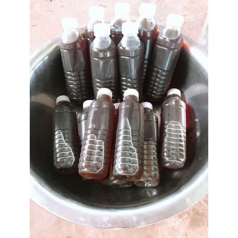 200 chai nhựa 370ml/500ml đựng Trà Sữa, nước Sâm,...