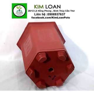 Combo 4 chậu lục giác đỏ 25x25cm