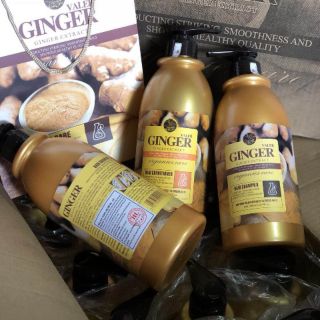 Dầu cặp gội xả ginger- dầu gừng 850ml ×2