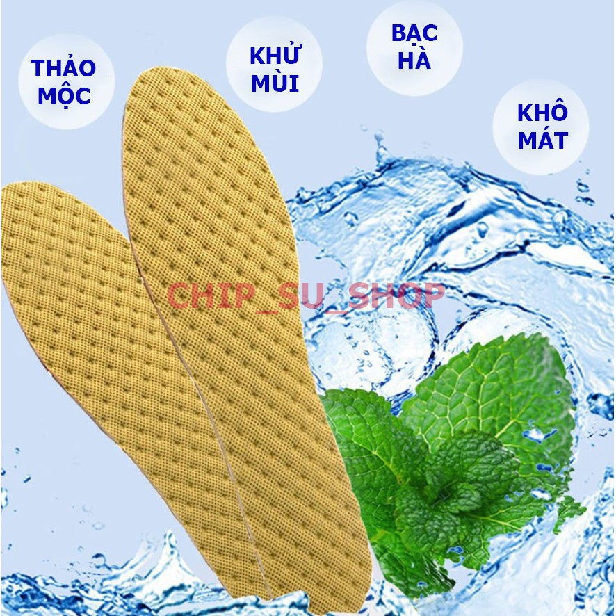 Lót Giày Bạc Hà Khử Mùi