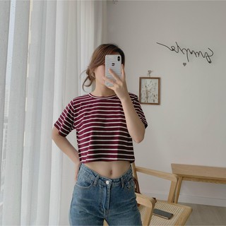 Áo dáng ngắn tay kẻ TKP95 1994closet