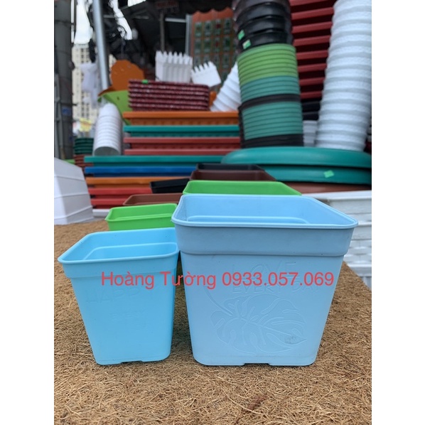 Chậu vuông 7cm, 10cm trồng sen đá, cây kiểng nhỏ