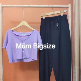 Áo croptop ảnh thật 65kg~90kg