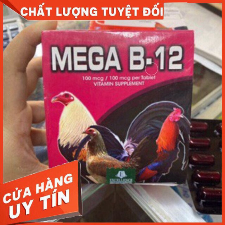 Thuốc nuôi MEGA-B12 cho gà đá BỔ MÁU TĂNG BO
