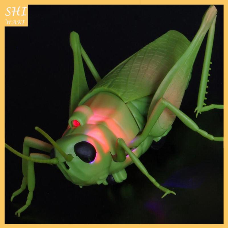 Đồ Chơi Mô Hình Côn Trùng Máy Bay Điều Khiển Từ Xa Mẫu Mới Lạ Làm Quà Tặng Cho