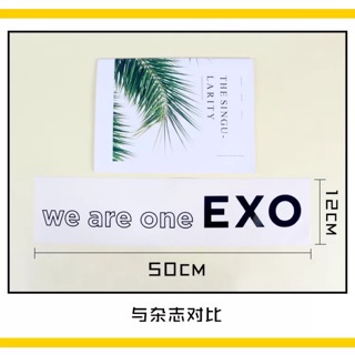 Banner EXO - vải 50x12cm