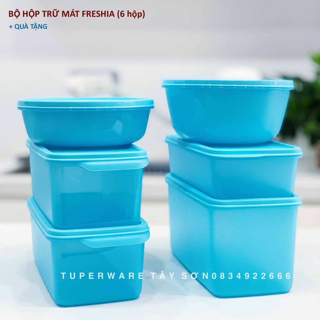 Bộ hộp trữ đông và mát Blue Ocean - Tupperware