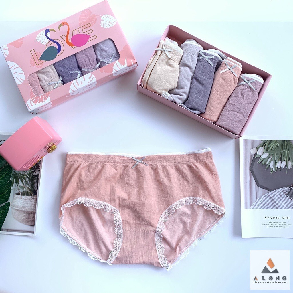 Quần lót nữ LENABRA, hộp 5 quần lót thiên nga cotton co giãn kháng khuẩn có nơ xinh
