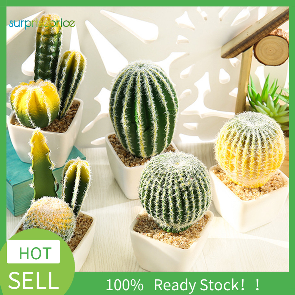 Chậu cây xương rồng giả để trang trí nội thất