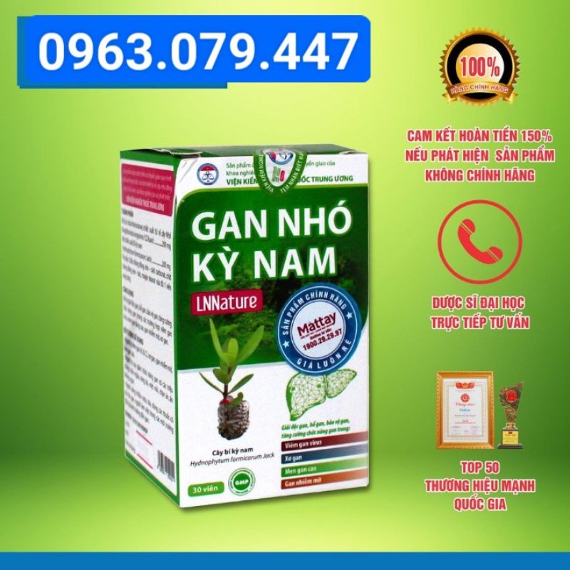 combo 6 hộp Gan Nhó Kỳ Nam - Bổ gan, giải độc gan, hạ men gan