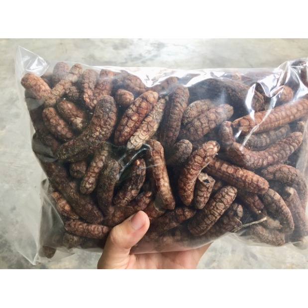 1kg chuối hột rừng nguyên quả Tây Bắc -dltd