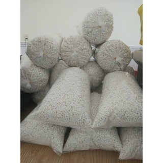 Đất âp trứng bò sát , trồng cây