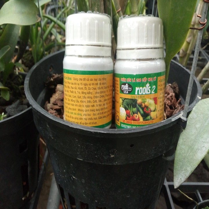 Thuốc Kích rễ giải độc hoa kỳ Roots 2 100ml