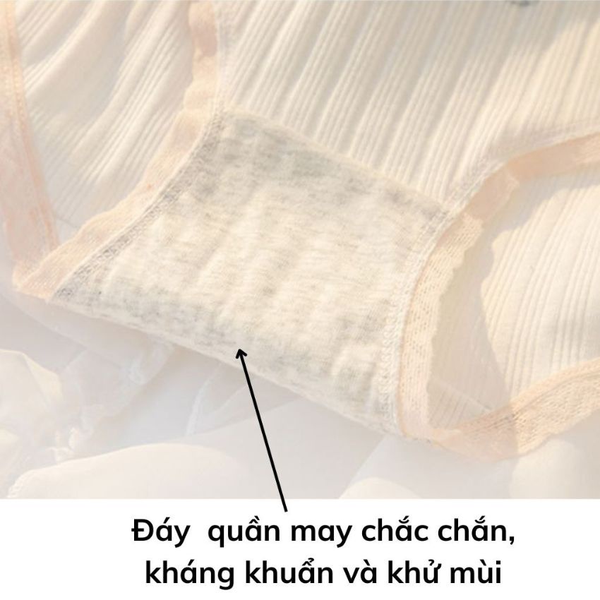 Quần lót nữ Cotton Cao Cấp viền ren siêu mềm mại, đính nơ cute dễ thương - L8036