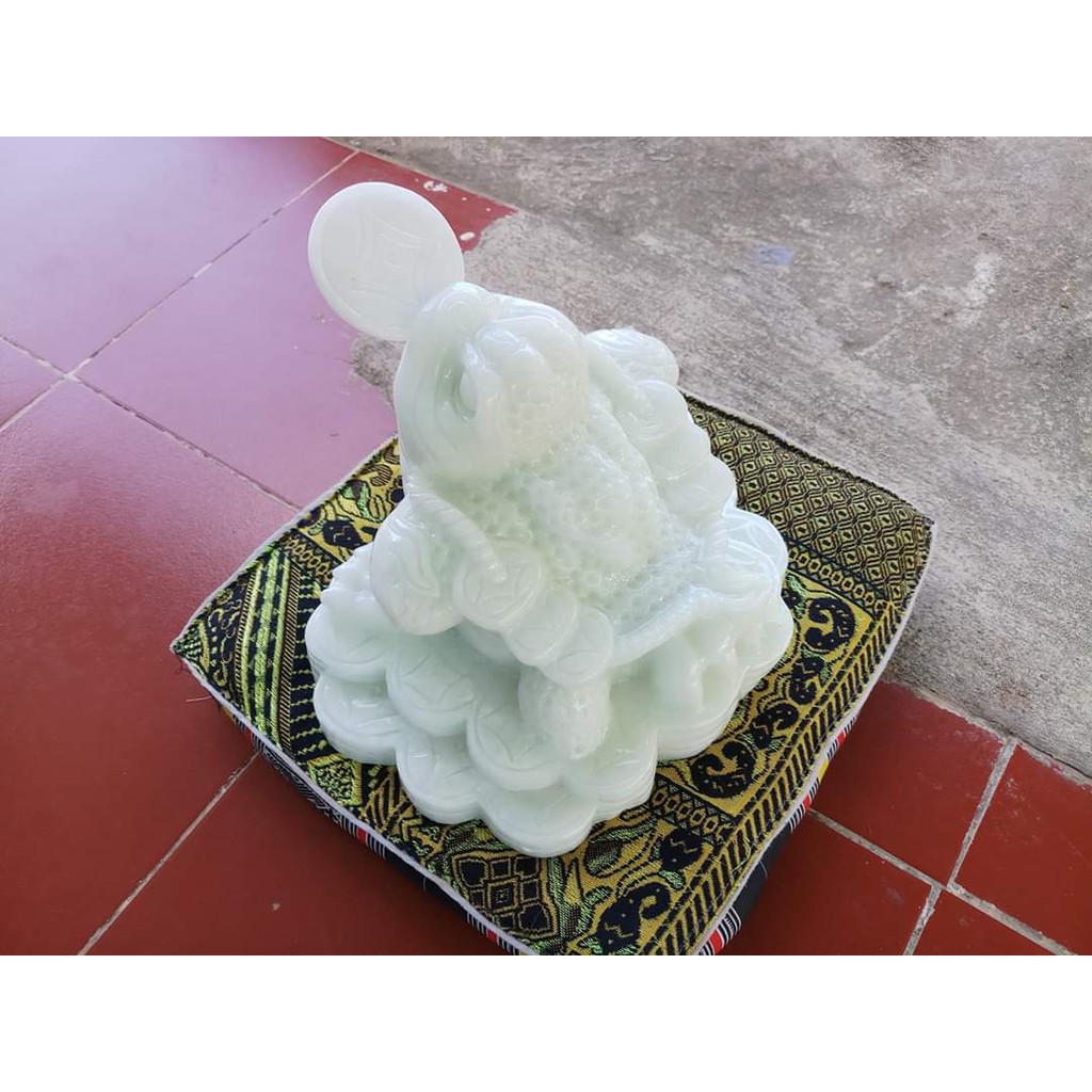 Cụ Cóc Da phong thuy ( ảnh tự chụp )