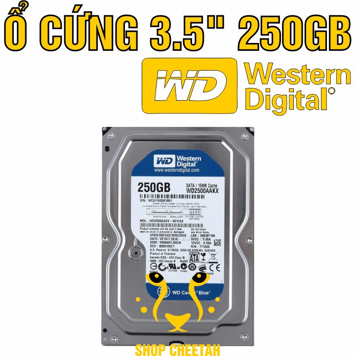 Ổ cứng 250GB Western Digital HDD 3.5” - Chính Hãng – Bảo hành 3 tháng – Tháo máy đồng bộ mới 99% - HDD WD xanh