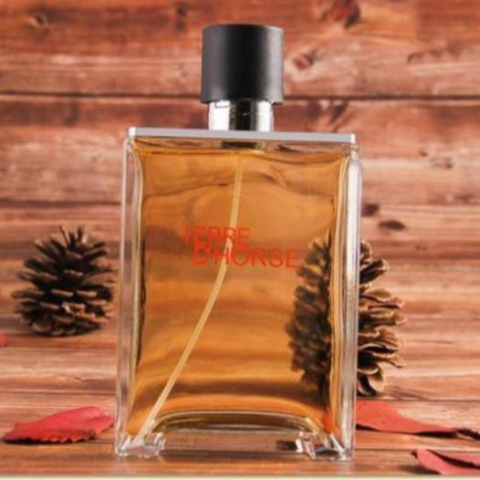 Nước Hoa Nam TERRE Dung Tích 100ml Nhóm Hương Nam Tính Nhẹ Nhàng | BigBuy360 - bigbuy360.vn