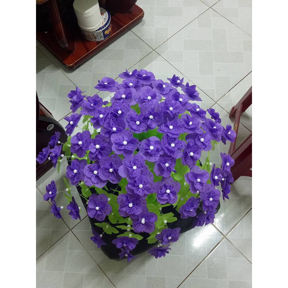 Combo 6 bộ hoa gấm