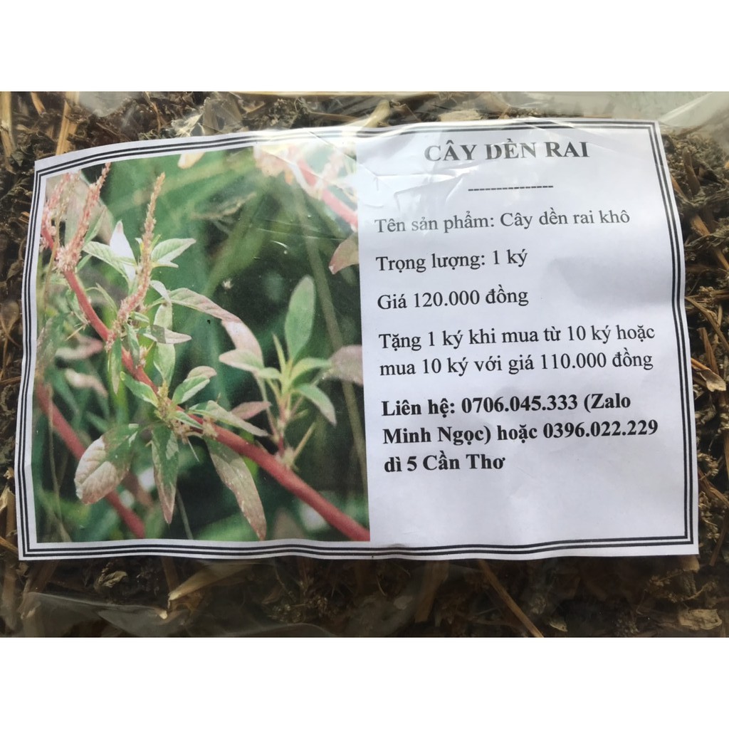 Cây dền gai phơi khô 1 ký
