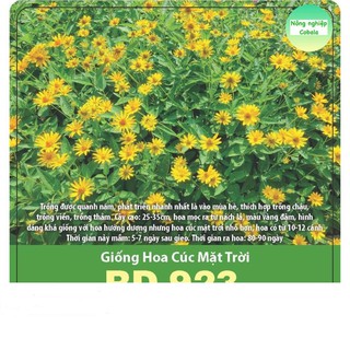 Hạt Giống Hoa Cúc Mặt Trời 0.1gr