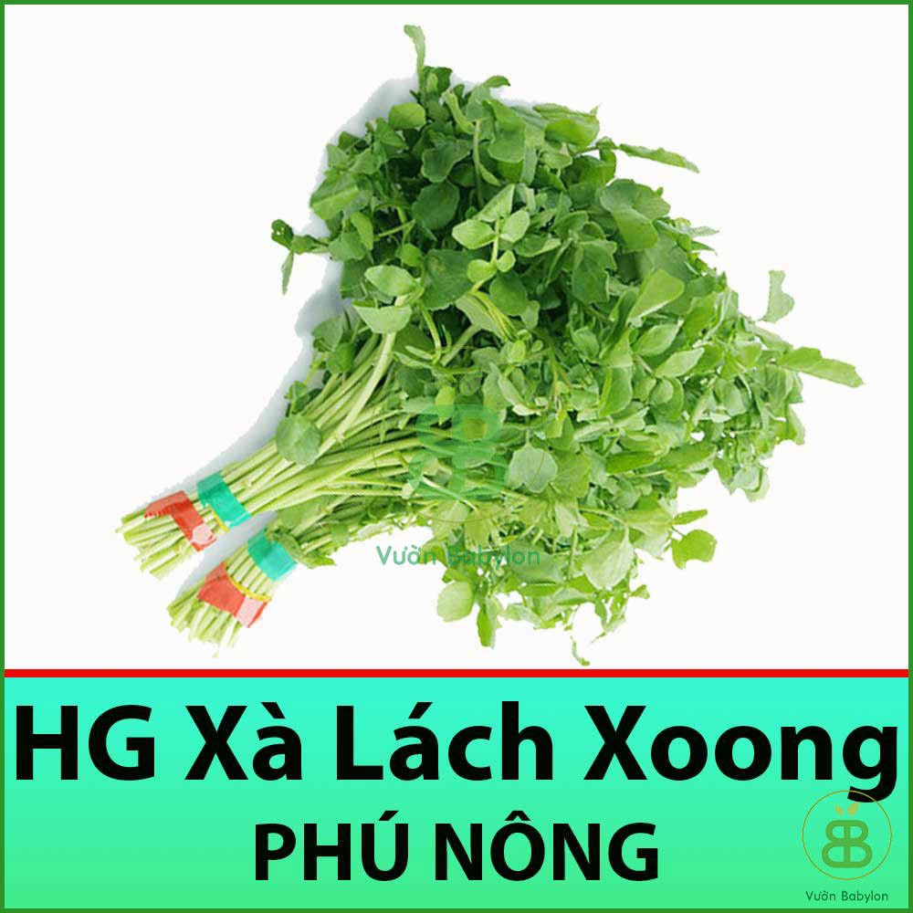 Hạt Giống Xà Lách Xoong Mỹ 1Gr Chất Lượng Cao