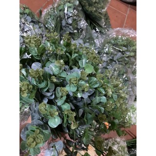 Cụm lá táo xanh