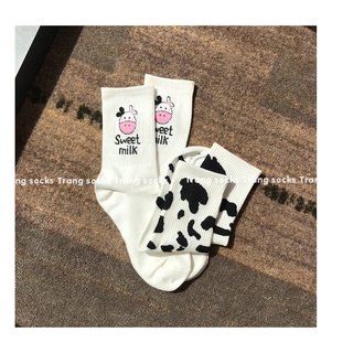 Tất cao cổ bò sữa