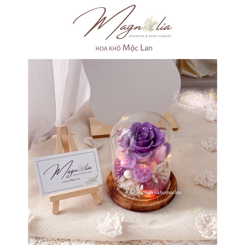 Chụp thuỷ tinh đế gỗ hoa hồng bất tử, quà tặng giáng sinh, phụ kiện chụp ảnh sản phẩm, decor trang trí bàn trang điểm