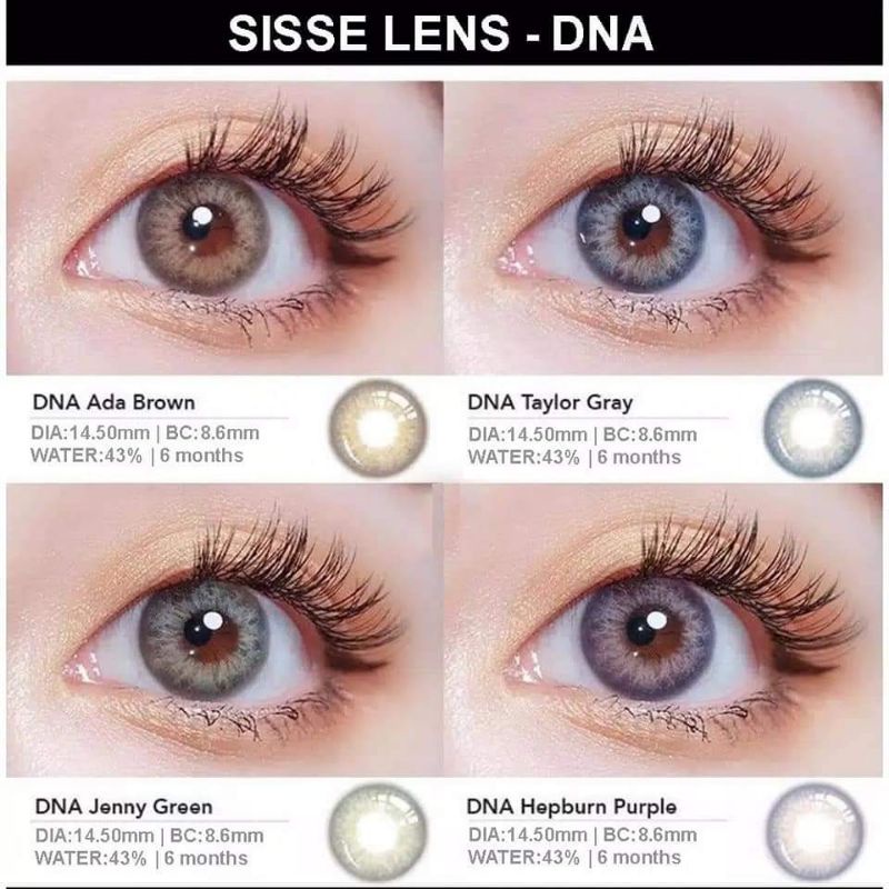 mẫu lens Brown/Blue/Gray DNA ( 0 độ ) tang khay mini