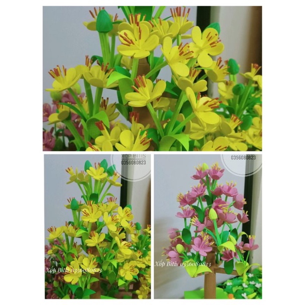 Cây hoa đào, cây hoa mai xốp - tết và mùa xuân