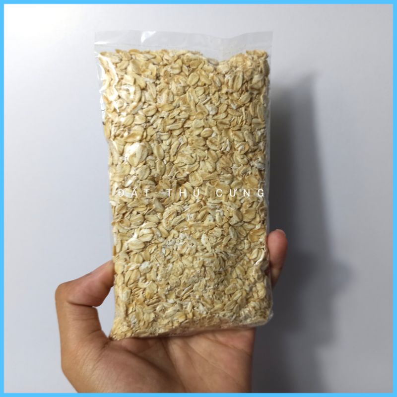 Yến mạch thức ăn dặm thêm cho hamster cung cấp dinh dưỡng nhanh tăng cân