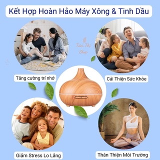 Máy Xông Tinh Dầu 550ml Cao Cấp Cỡ Lớn Giúp Khuếch Tán Tinh Dầu Phun Sương Tỏa Hương Thơm Mát Đuổi Muỗi & Côn Trùng