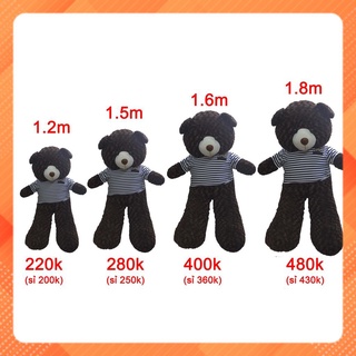 BÁN SỈ Gấu teddy 1m (XƯỞNG SẢN XUẤT)