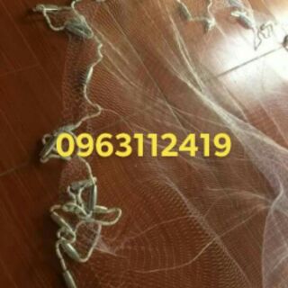 Chài Lưới bắt cá thông minh
