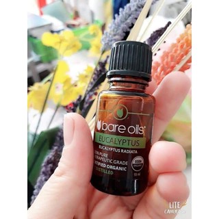 Tinh dầu hữu cơ khuynh diệp eucalyptus 15ml tri ho sổ mũi