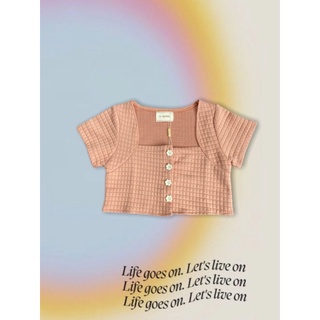 Croptop 4 cúc hoa chất vải xốp