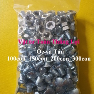 Combo ốc v lỗ bắt kệ sắt v3,v4