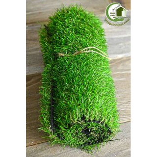 [ 25 x 50cm] Tấm cỏ nhựa xanh cao cấp trang trí hồ cá, sân vườn, mô hình 25cm x 50cm