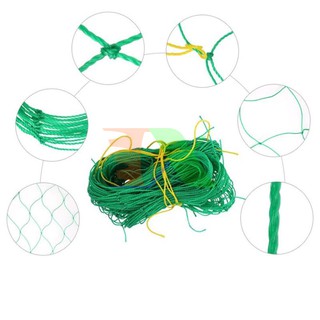 Lưới Trồng Giàn Cây Leo ama88
