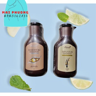 Bộ đôi dầu gội & dầu xã hanayuki