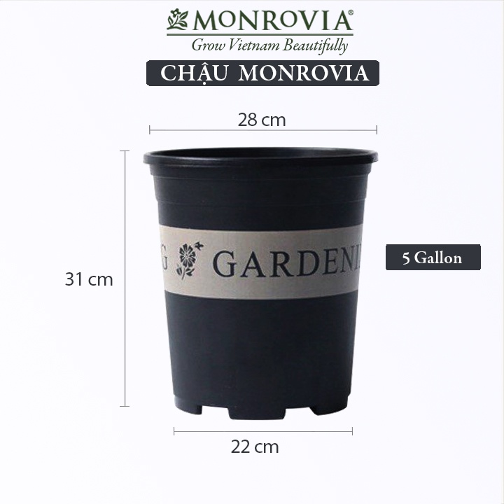 Chậu trồng cây MONROVIA 5 Gallon, kèm đĩa lót, cây cảnh mini, trồng rau, hoa, để bàn, treo ban công, nhập khẩu Châu Âu